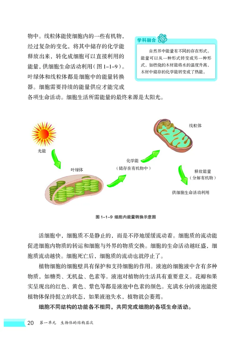 冀少版7年级生物上册高清教材_4-教培资料-26年最新资料-同步更新_初中高中教资_03科三专项（进去保存报考的学科即可）_02科三专项（笔记真题思维导图教学设计版本二）