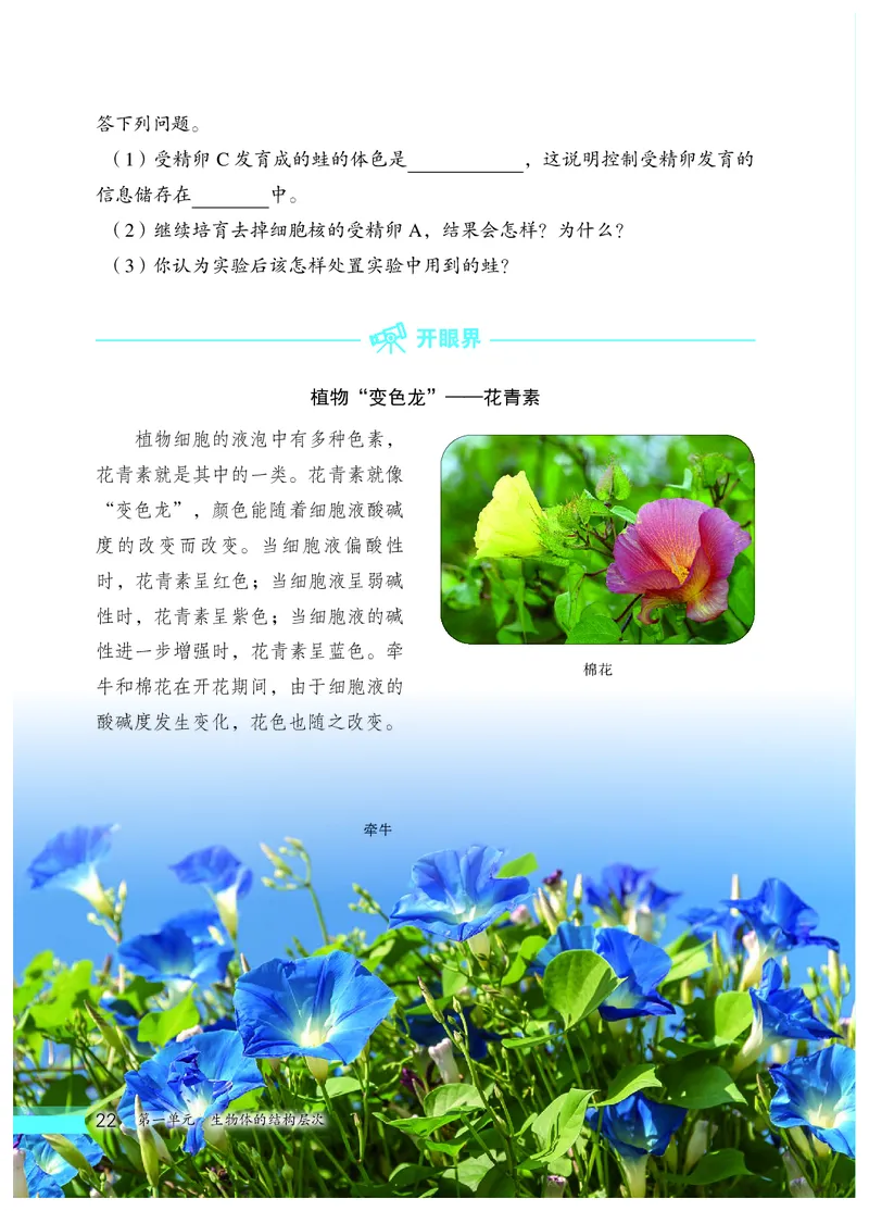 冀少版7年级生物上册高清教材_4-教培资料-26年最新资料-同步更新_初中高中教资_03科三专项（进去保存报考的学科即可）_02科三专项（笔记真题思维导图教学设计版本二）