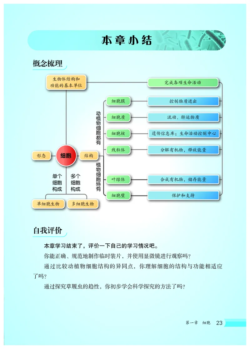 冀少版7年级生物上册高清教材_4-教培资料-26年最新资料-同步更新_初中高中教资_03科三专项（进去保存报考的学科即可）_02科三专项（笔记真题思维导图教学设计版本二）