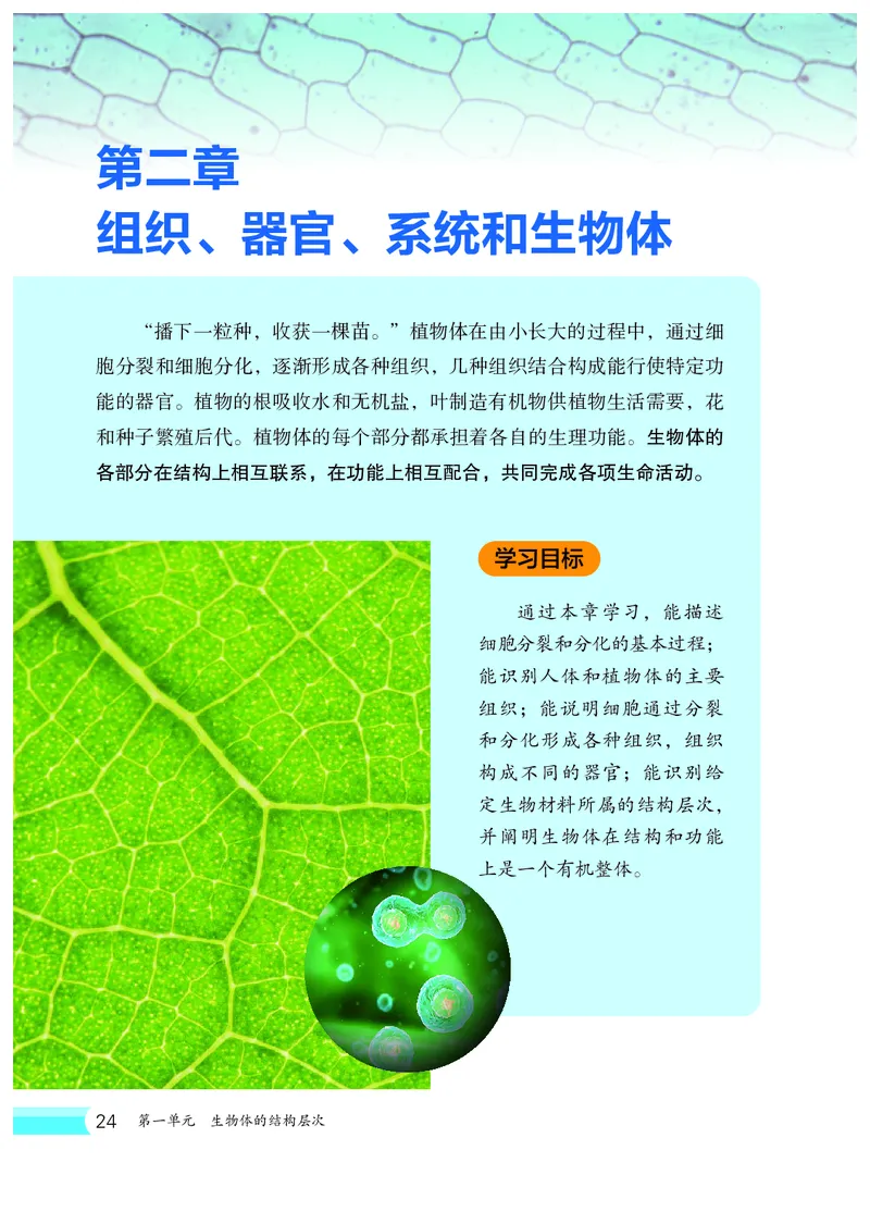 冀少版7年级生物上册高清教材_4-教培资料-26年最新资料-同步更新_初中高中教资_03科三专项（进去保存报考的学科即可）_02科三专项（笔记真题思维导图教学设计版本二）