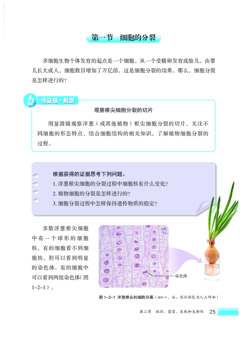 冀少版7年级生物上册高清教材_4-教培资料-26年最新资料-同步更新_初中高中教资_03科三专项（进去保存报考的学科即可）_02科三专项（笔记真题思维导图教学设计版本二）