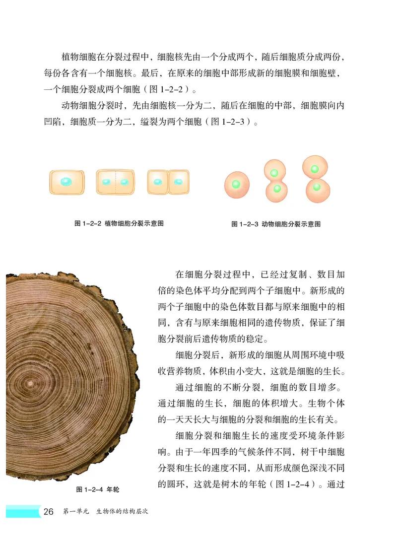 冀少版7年级生物上册高清教材_4-教培资料-26年最新资料-同步更新_初中高中教资_03科三专项（进去保存报考的学科即可）_02科三专项（笔记真题思维导图教学设计版本二）
