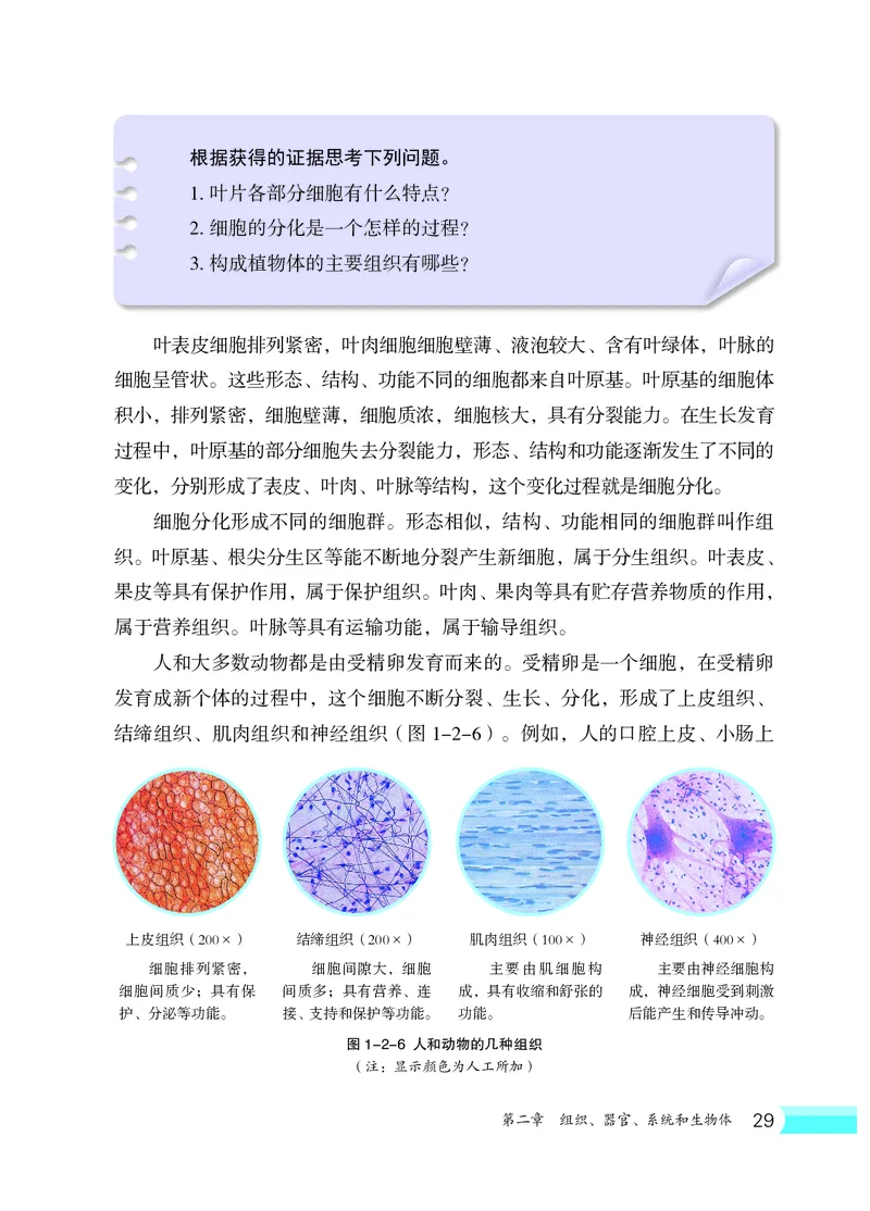 冀少版7年级生物上册高清教材_4-教培资料-26年最新资料-同步更新_初中高中教资_03科三专项（进去保存报考的学科即可）_02科三专项（笔记真题思维导图教学设计版本二）