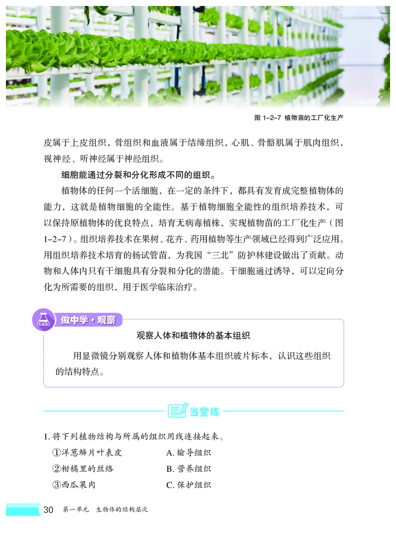 冀少版7年级生物上册高清教材_4-教培资料-26年最新资料-同步更新_初中高中教资_03科三专项（进去保存报考的学科即可）_02科三专项（笔记真题思维导图教学设计版本二）