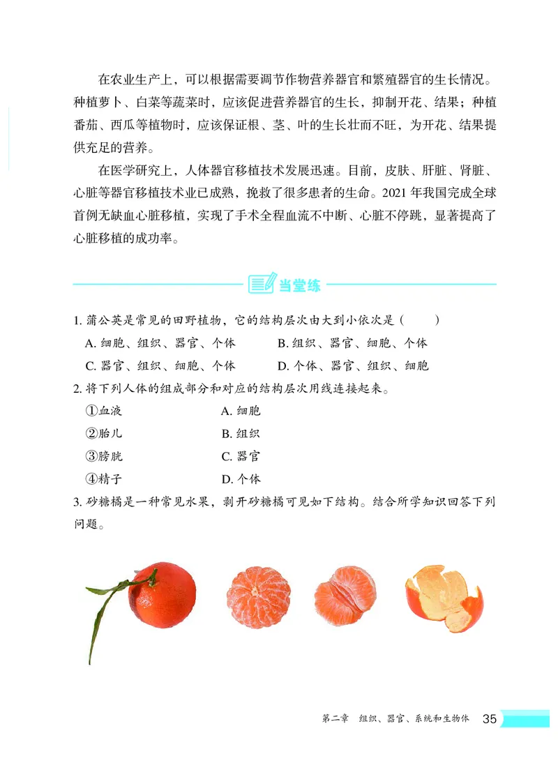 冀少版7年级生物上册高清教材_4-教培资料-26年最新资料-同步更新_初中高中教资_03科三专项（进去保存报考的学科即可）_02科三专项（笔记真题思维导图教学设计版本二）