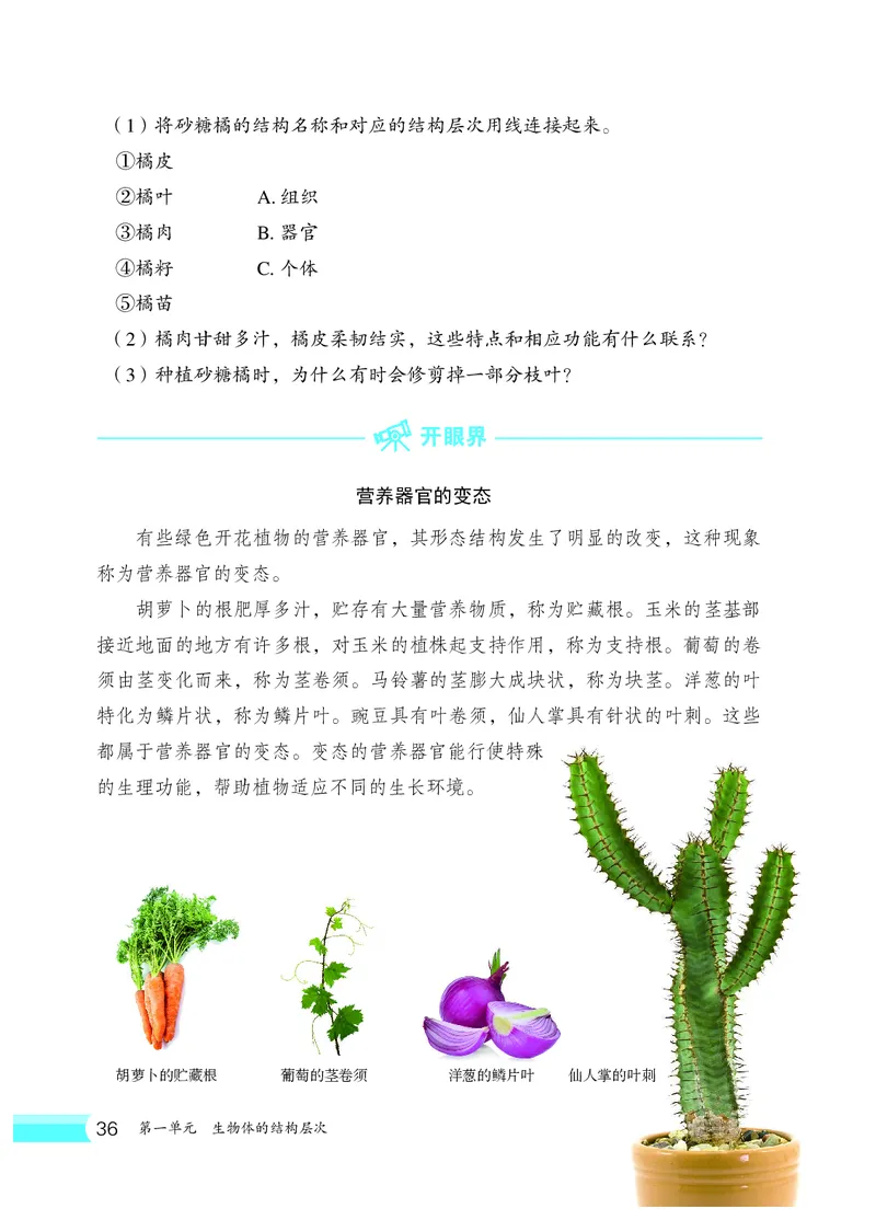 冀少版7年级生物上册高清教材_4-教培资料-26年最新资料-同步更新_初中高中教资_03科三专项（进去保存报考的学科即可）_02科三专项（笔记真题思维导图教学设计版本二）