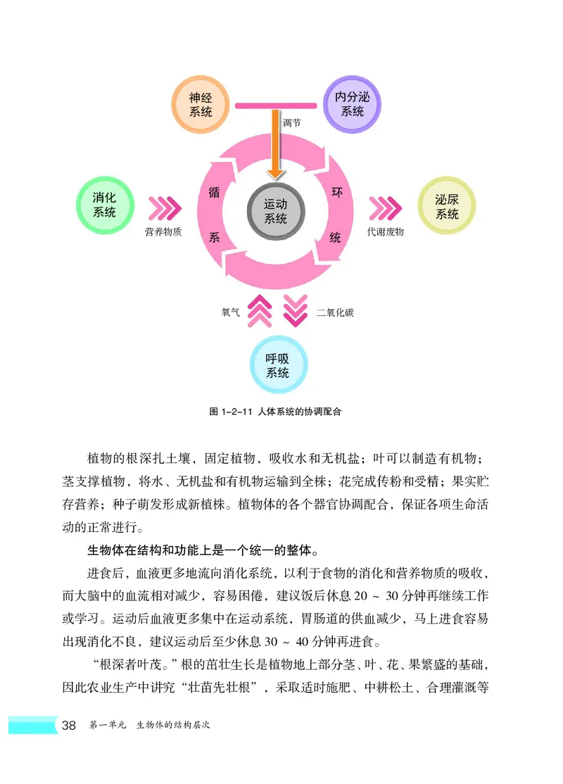 冀少版7年级生物上册高清教材_4-教培资料-26年最新资料-同步更新_初中高中教资_03科三专项（进去保存报考的学科即可）_02科三专项（笔记真题思维导图教学设计版本二）