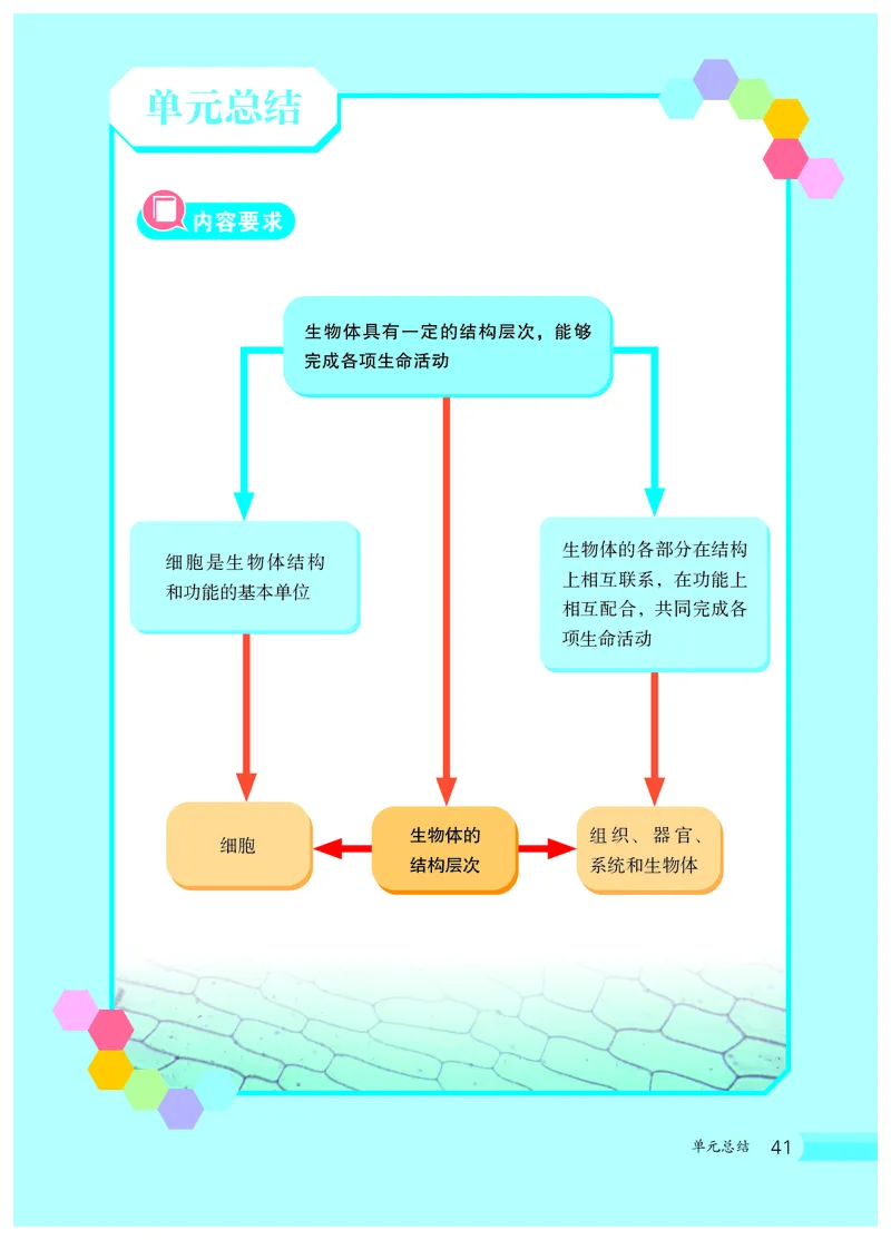 冀少版7年级生物上册高清教材_4-教培资料-26年最新资料-同步更新_初中高中教资_03科三专项（进去保存报考的学科即可）_02科三专项（笔记真题思维导图教学设计版本二）