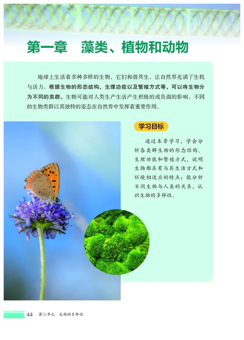 冀少版7年级生物上册高清教材_4-教培资料-26年最新资料-同步更新_初中高中教资_03科三专项（进去保存报考的学科即可）_02科三专项（笔记真题思维导图教学设计版本二）