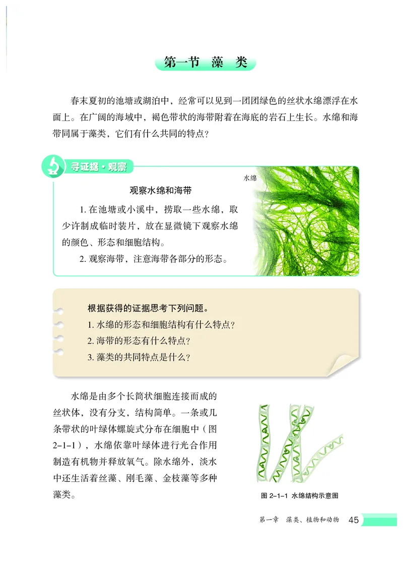 冀少版7年级生物上册高清教材_4-教培资料-26年最新资料-同步更新_初中高中教资_03科三专项（进去保存报考的学科即可）_02科三专项（笔记真题思维导图教学设计版本二）