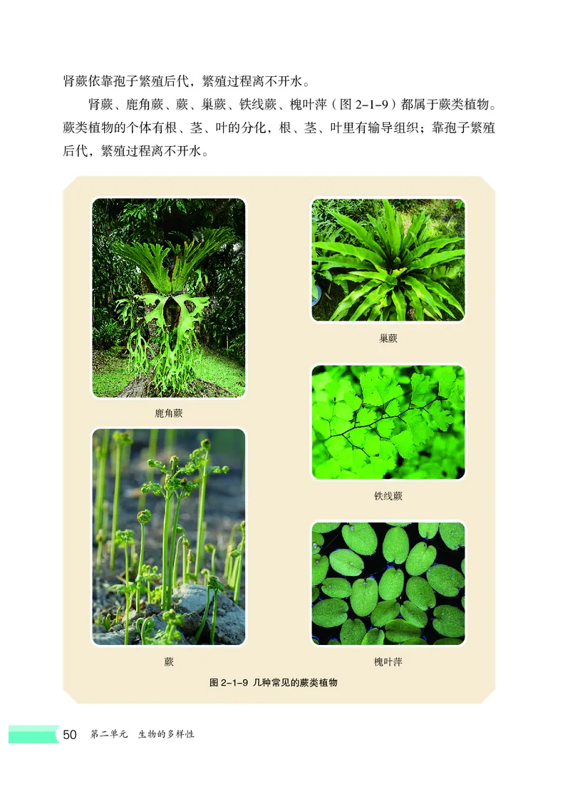 冀少版7年级生物上册高清教材_4-教培资料-26年最新资料-同步更新_初中高中教资_03科三专项（进去保存报考的学科即可）_02科三专项（笔记真题思维导图教学设计版本二）