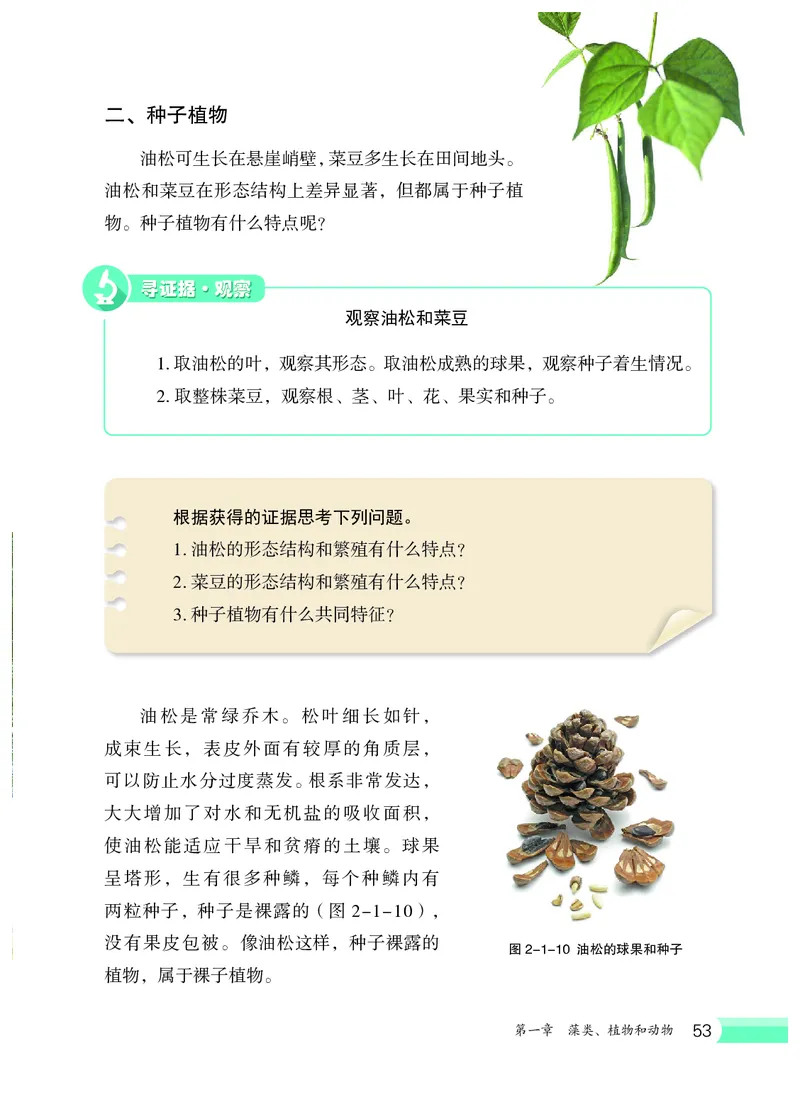 冀少版7年级生物上册高清教材_4-教培资料-26年最新资料-同步更新_初中高中教资_03科三专项（进去保存报考的学科即可）_02科三专项（笔记真题思维导图教学设计版本二）