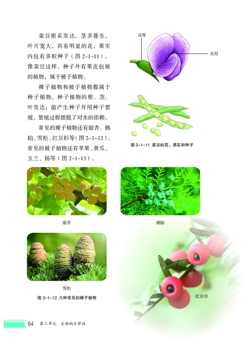 冀少版7年级生物上册高清教材_4-教培资料-26年最新资料-同步更新_初中高中教资_03科三专项（进去保存报考的学科即可）_02科三专项（笔记真题思维导图教学设计版本二）