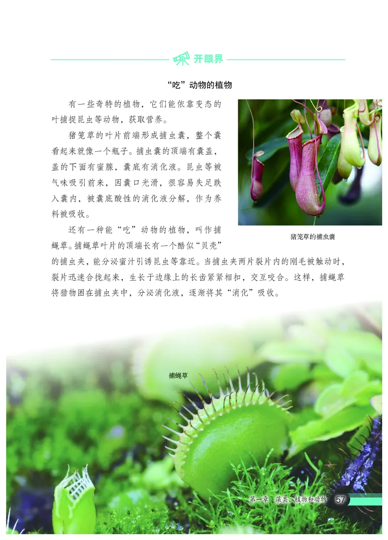 冀少版7年级生物上册高清教材_4-教培资料-26年最新资料-同步更新_初中高中教资_03科三专项（进去保存报考的学科即可）_02科三专项（笔记真题思维导图教学设计版本二）