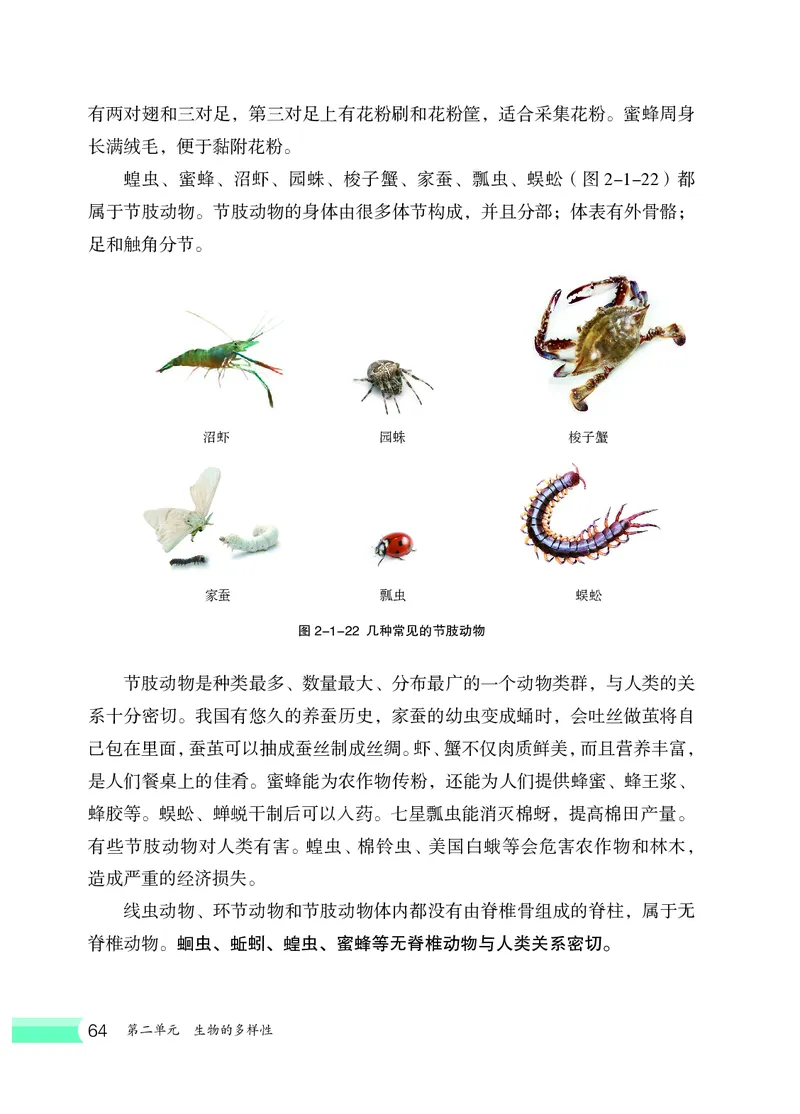 冀少版7年级生物上册高清教材_4-教培资料-26年最新资料-同步更新_初中高中教资_03科三专项（进去保存报考的学科即可）_02科三专项（笔记真题思维导图教学设计版本二）