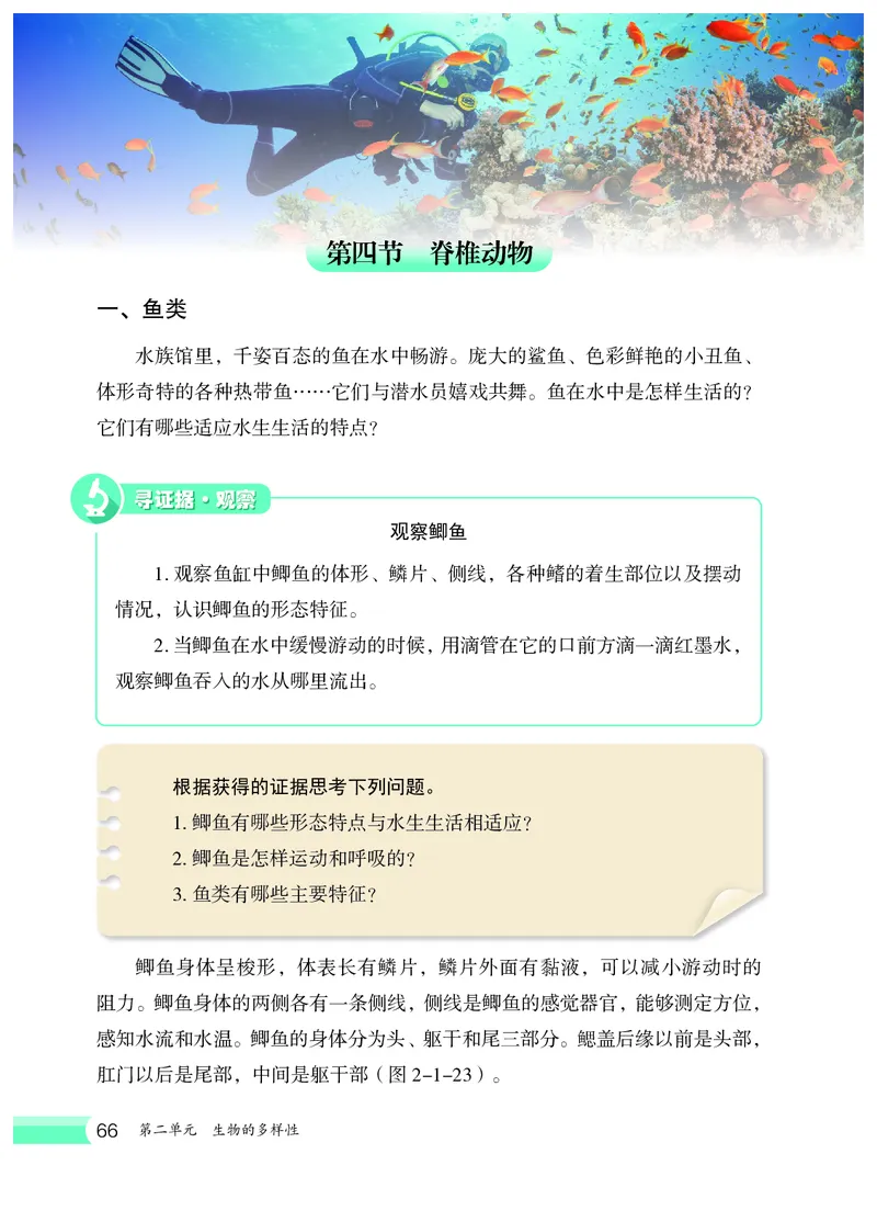 冀少版7年级生物上册高清教材_4-教培资料-26年最新资料-同步更新_初中高中教资_03科三专项（进去保存报考的学科即可）_02科三专项（笔记真题思维导图教学设计版本二）