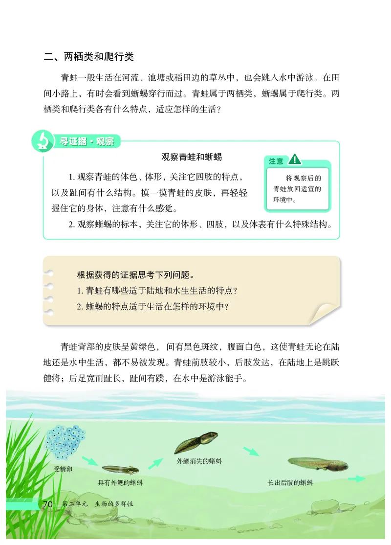 冀少版7年级生物上册高清教材_4-教培资料-26年最新资料-同步更新_初中高中教资_03科三专项（进去保存报考的学科即可）_02科三专项（笔记真题思维导图教学设计版本二）