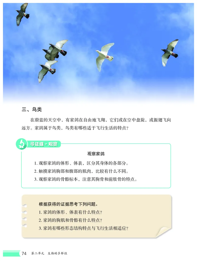冀少版7年级生物上册高清教材_4-教培资料-26年最新资料-同步更新_初中高中教资_03科三专项（进去保存报考的学科即可）_02科三专项（笔记真题思维导图教学设计版本二）