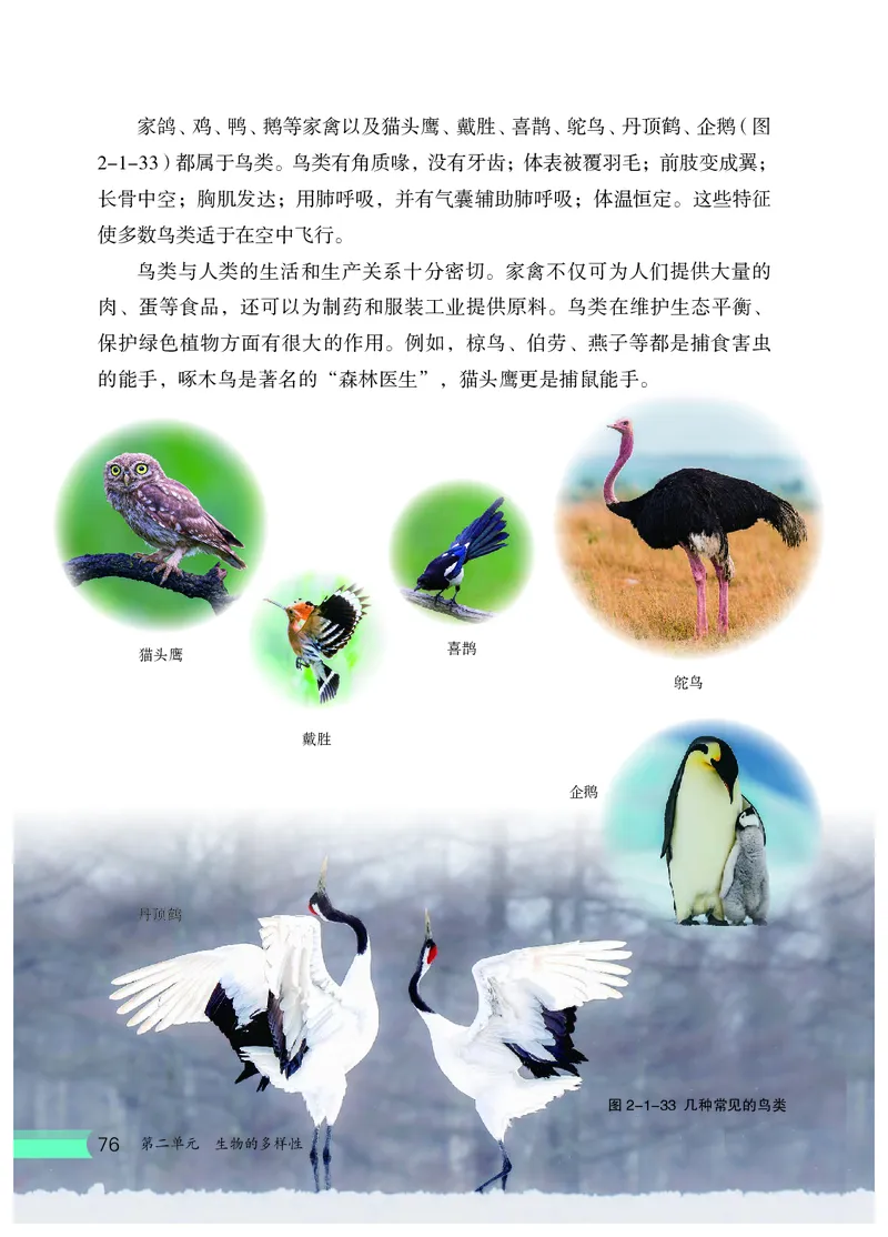 冀少版7年级生物上册高清教材_4-教培资料-26年最新资料-同步更新_初中高中教资_03科三专项（进去保存报考的学科即可）_02科三专项（笔记真题思维导图教学设计版本二）