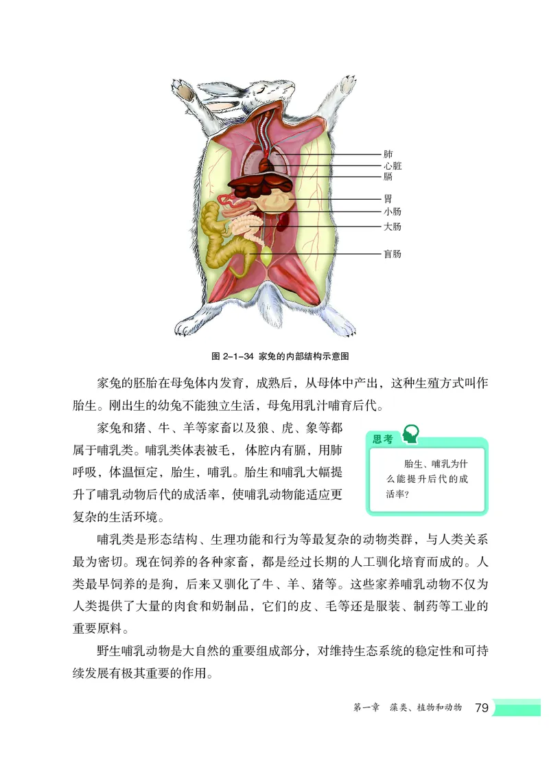 冀少版7年级生物上册高清教材_4-教培资料-26年最新资料-同步更新_初中高中教资_03科三专项（进去保存报考的学科即可）_02科三专项（笔记真题思维导图教学设计版本二）