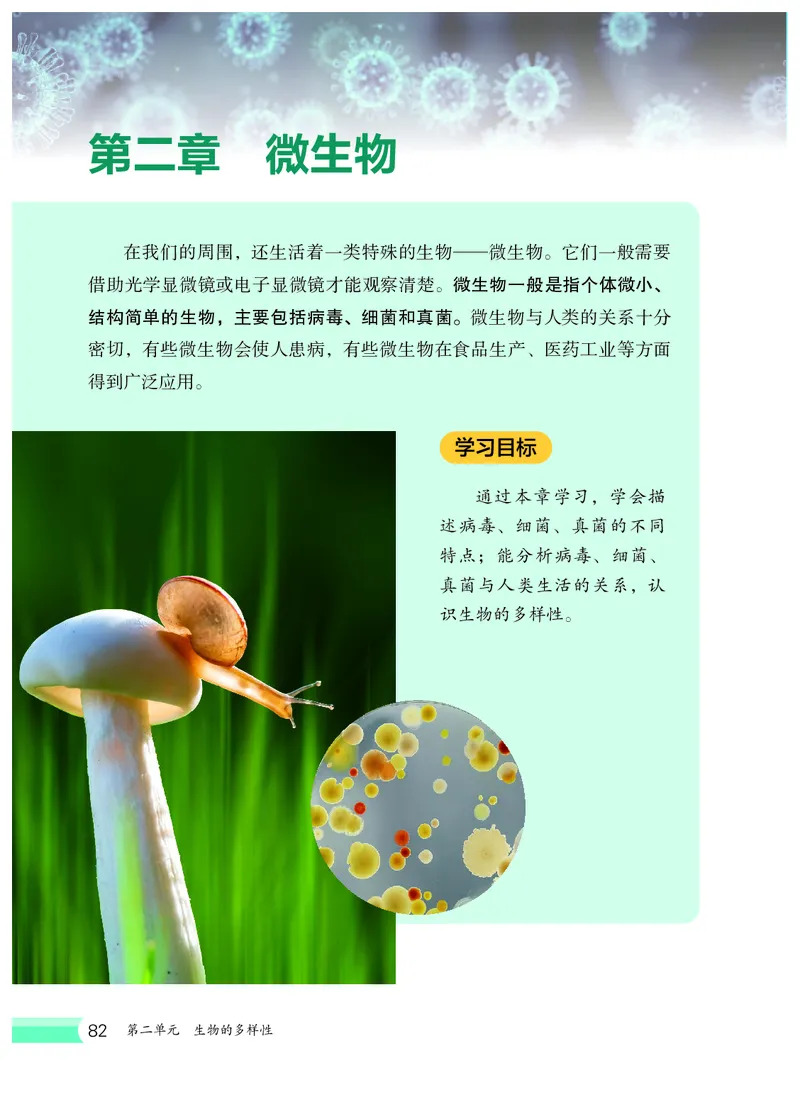 冀少版7年级生物上册高清教材_4-教培资料-26年最新资料-同步更新_初中高中教资_03科三专项（进去保存报考的学科即可）_02科三专项（笔记真题思维导图教学设计版本二）