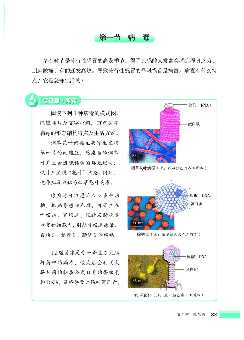 冀少版7年级生物上册高清教材_4-教培资料-26年最新资料-同步更新_初中高中教资_03科三专项（进去保存报考的学科即可）_02科三专项（笔记真题思维导图教学设计版本二）