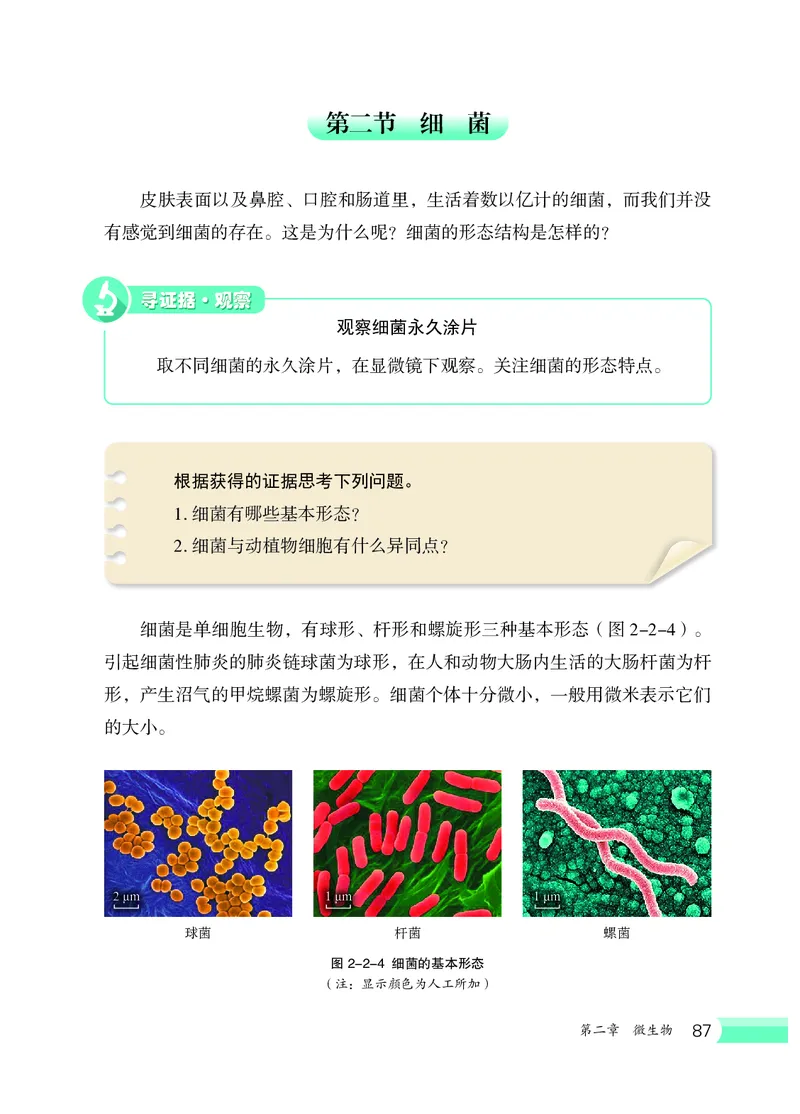冀少版7年级生物上册高清教材_4-教培资料-26年最新资料-同步更新_初中高中教资_03科三专项（进去保存报考的学科即可）_02科三专项（笔记真题思维导图教学设计版本二）