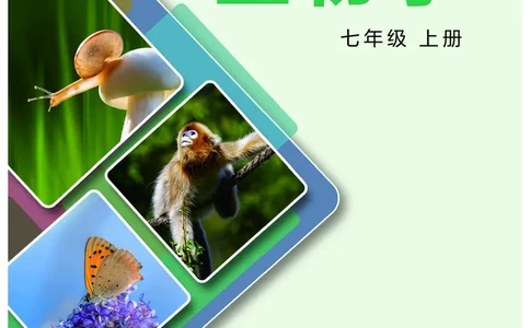 冀少版7年级生物上册高清教材_4-教培资料-26年最新资料-同步更新_初中高中教资_03科三专项（进去保存报考的学科即可）_02科三专项（笔记真题思维导图教学设计版本二）