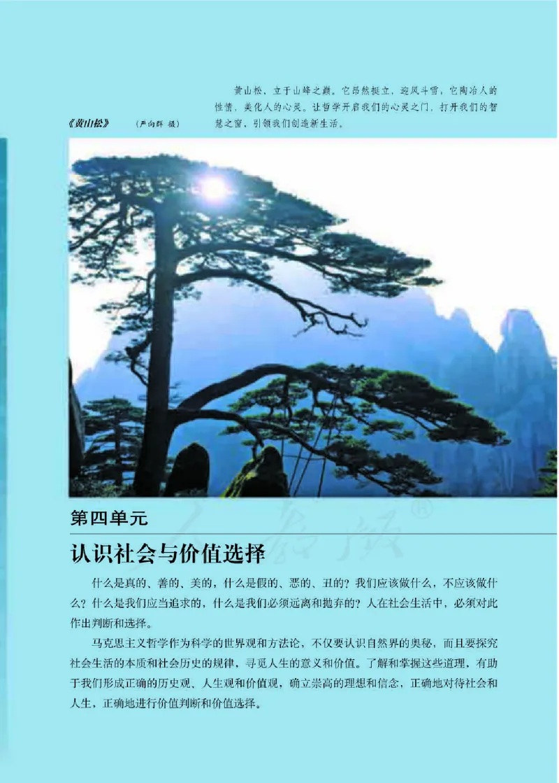 人教版高中政治必修4生活与哲学_4-教培资料-26年最新资料-同步更新_初中高中教资_03科三专项（进去保存报考的学科即可）_02科三专项（笔记真题思维导图教学设计版本二）
