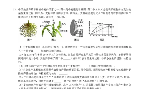 2019年湖北省黄冈市中考生物真题及答案_中考真题_8.生物中考真题2015-2024年_地区卷_湖北省_湖北黄冈生物15-19