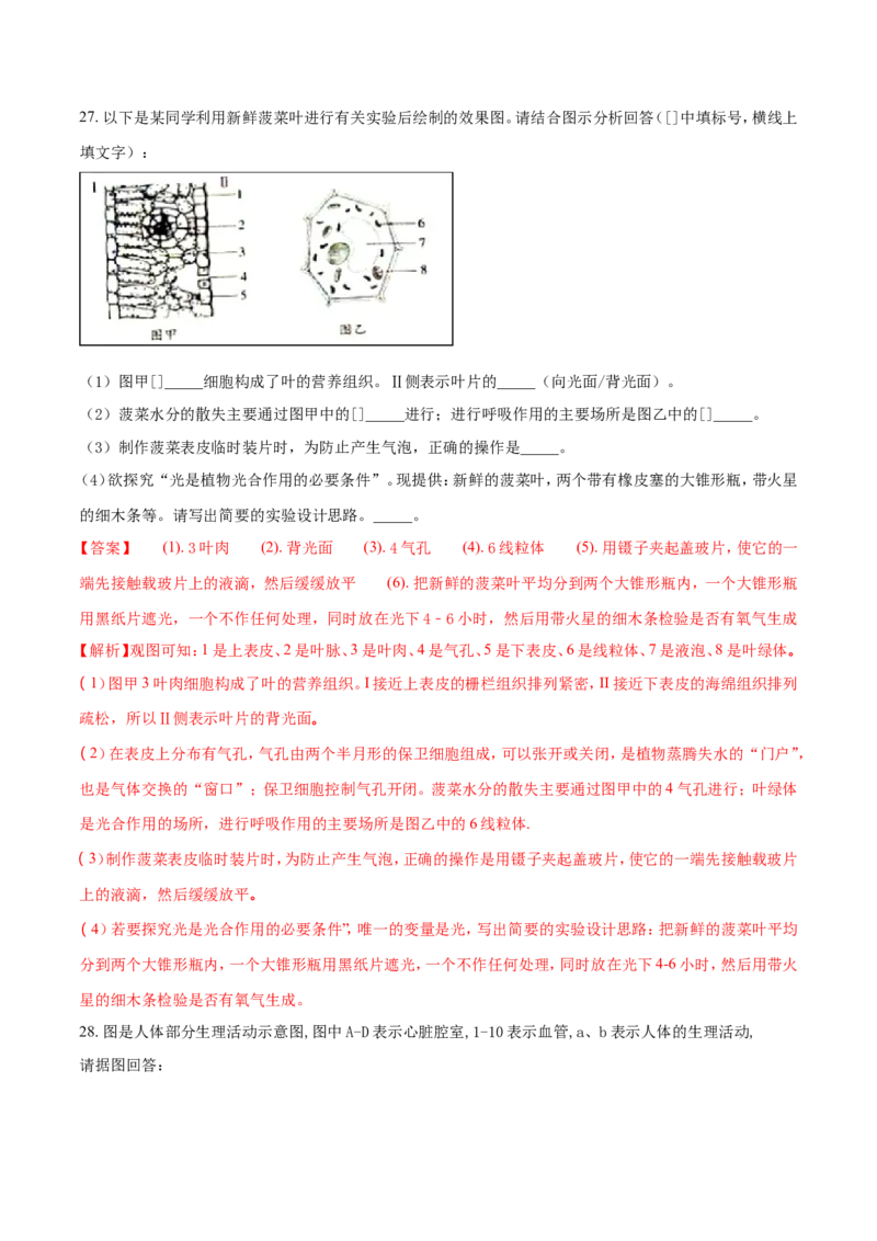 2018潍坊市中考生物试题带答案(word版)_中考真题_8.生物中考真题2015-2024年_地区卷_山东省_山东潍坊中考生物08-21