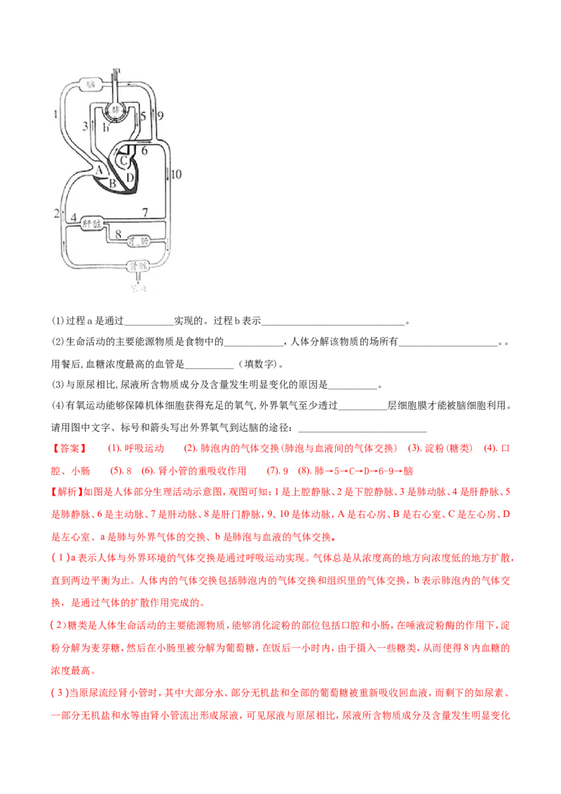 2018潍坊市中考生物试题带答案(word版)_中考真题_8.生物中考真题2015-2024年_地区卷_山东省_山东潍坊中考生物08-21