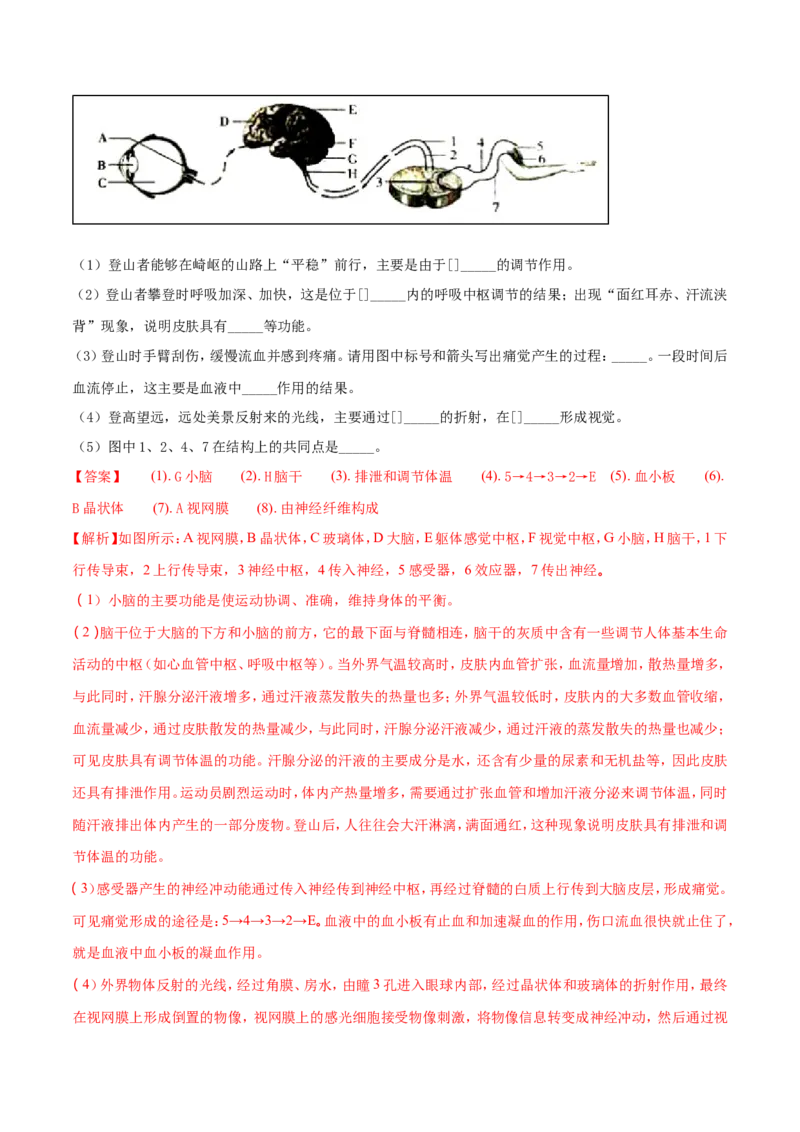 2018潍坊市中考生物试题带答案(word版)_中考真题_8.生物中考真题2015-2024年_地区卷_山东省_山东潍坊中考生物08-21