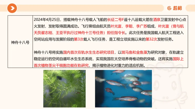 5月时政刷题课件_20240607180038_2026考公资料_（05）超格_超格时政_24时政合集_2024超格时政梳理+时政刷题_2024年时政刷题_05、5月时政刷题