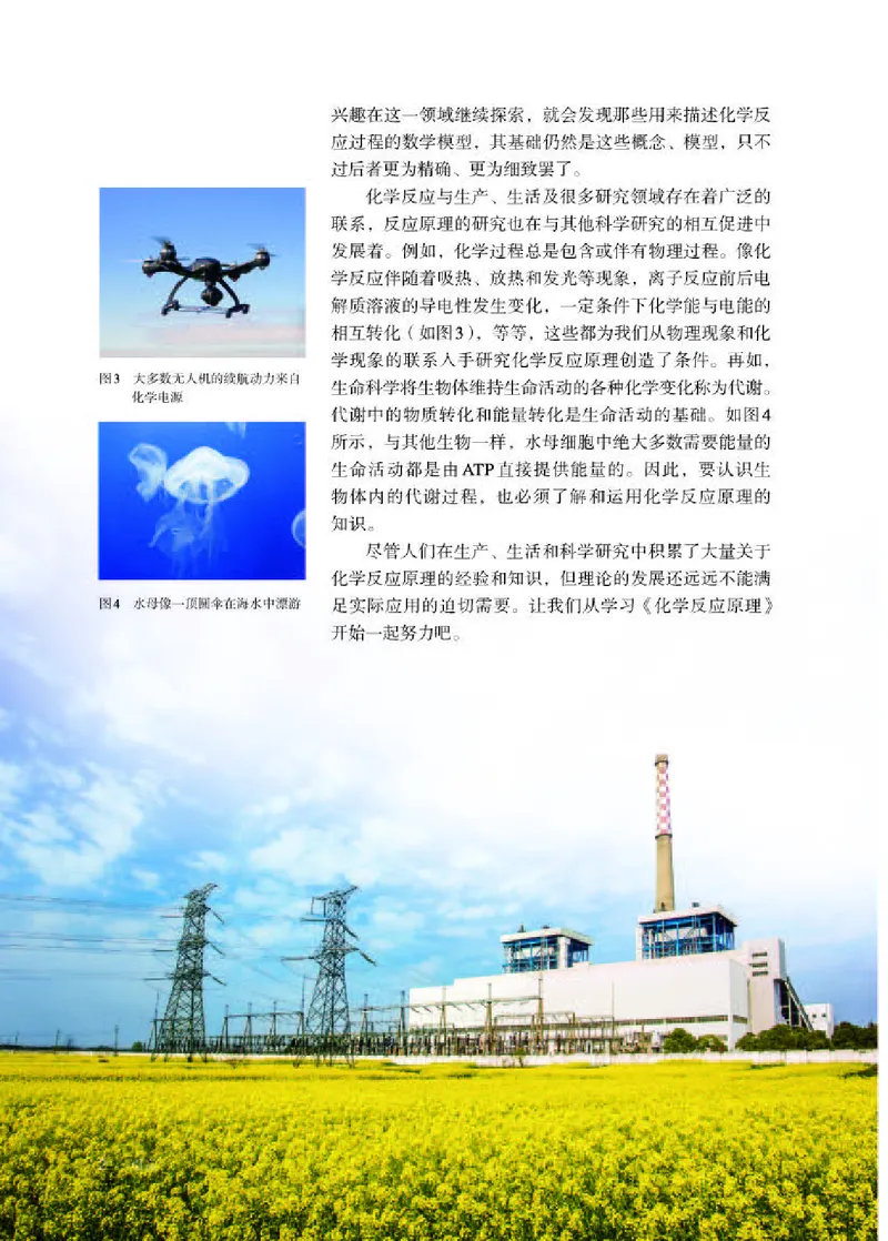 人教版化学选修第一册高清教材_4-教培资料-26年最新资料-同步更新_初中高中教资_03科三专项（进去保存报考的学科即可）_02科三专项（笔记真题思维导图教学设计版本二）