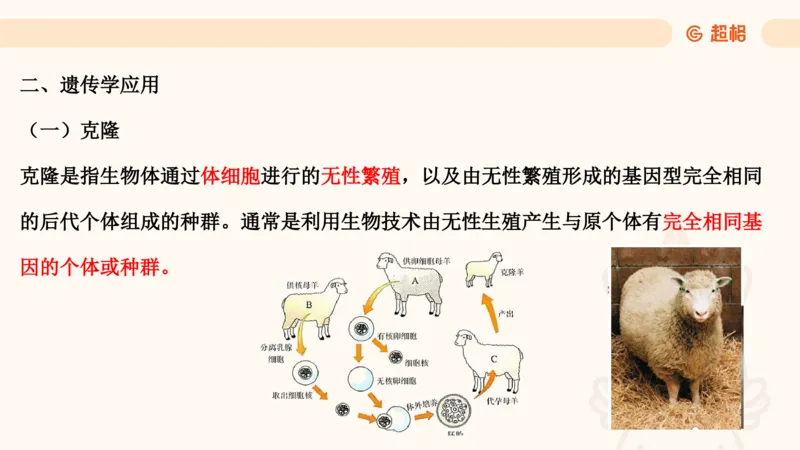 科技课件4（勿打印，随课程更新）11185387_2026考公资料_（05）超格_行测申论2025超格合集(行测&申论&政治理论)_璐璐2025超G公基＋综合写作全程班(事业单位三支一扶通用)_课件