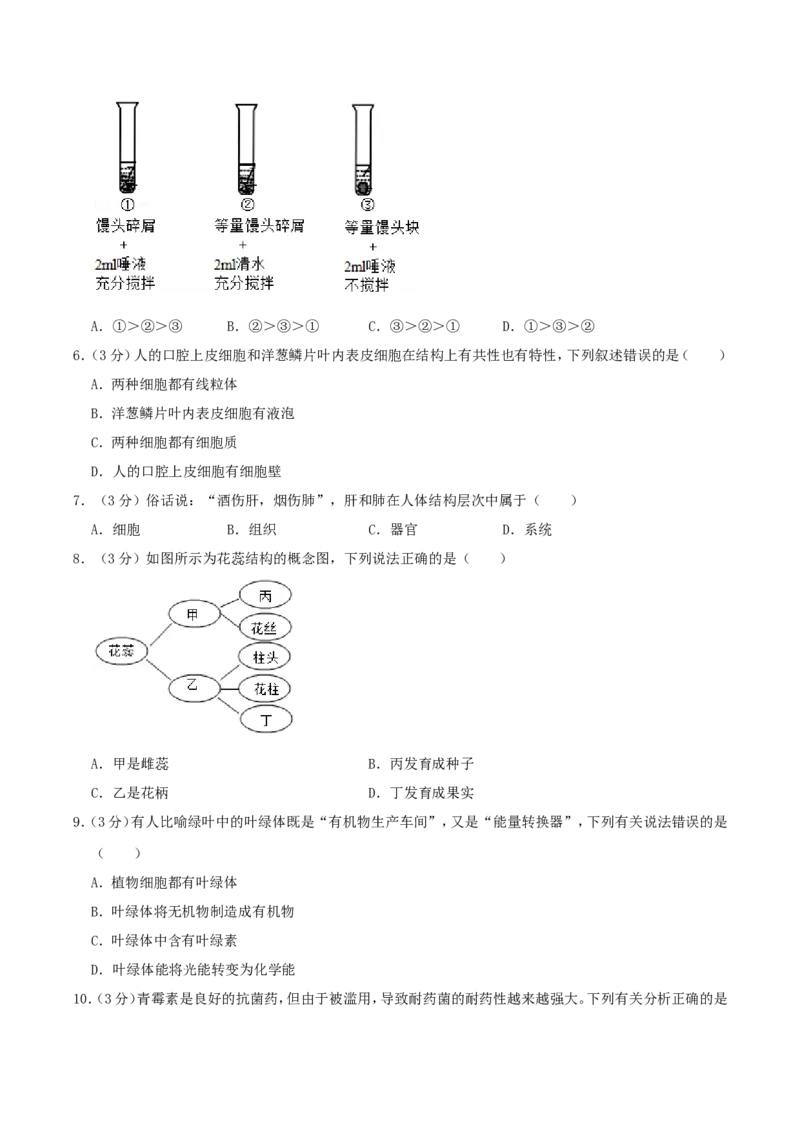 2019年四川省绵阳市中考生物真题及答案_中考真题_8.生物中考真题2015-2024年_地区卷_四川省_四川绵阳生物16,19,20.21