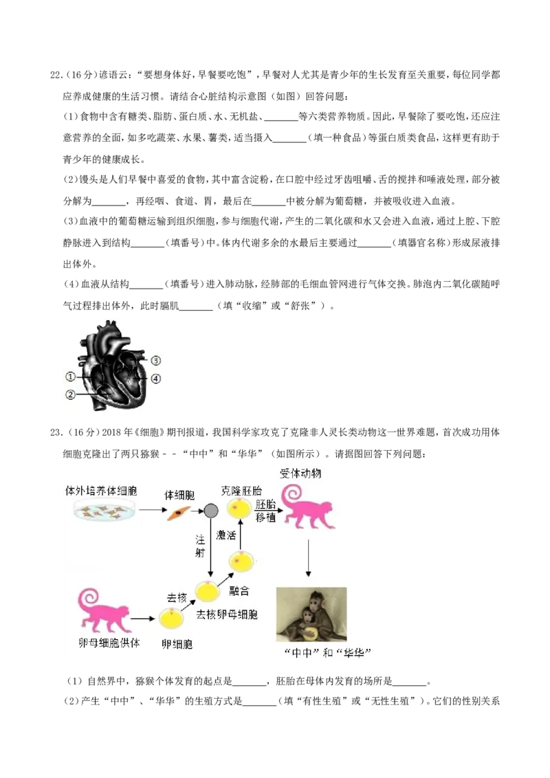 2019年四川省绵阳市中考生物真题及答案_中考真题_8.生物中考真题2015-2024年_地区卷_四川省_四川绵阳生物16,19,20.21