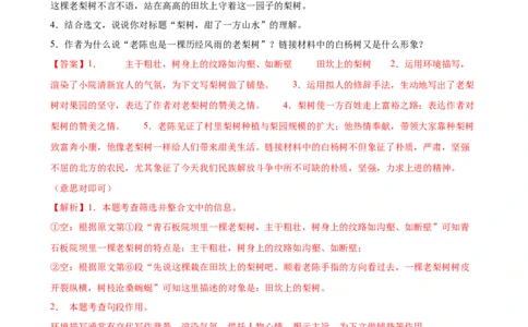 第27讲句段的作用（练习）（全国通用）（解析版）_120中考语文全套复习_中考语文复习总复习_一轮复习资料_完2024年中考语文一轮复习课件+讲义+练习（全国通用）