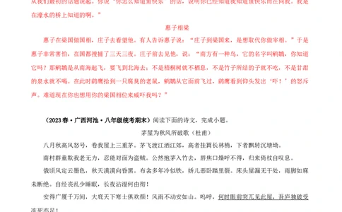 专题28庄子与惠子游于濠梁之上（解析版）（全国通用）_120中考语文全套复习_中考语文复习总复习_专项复习资料_完备战2024年中考语文之文言文讲义练习（全国通用）_答案解析版