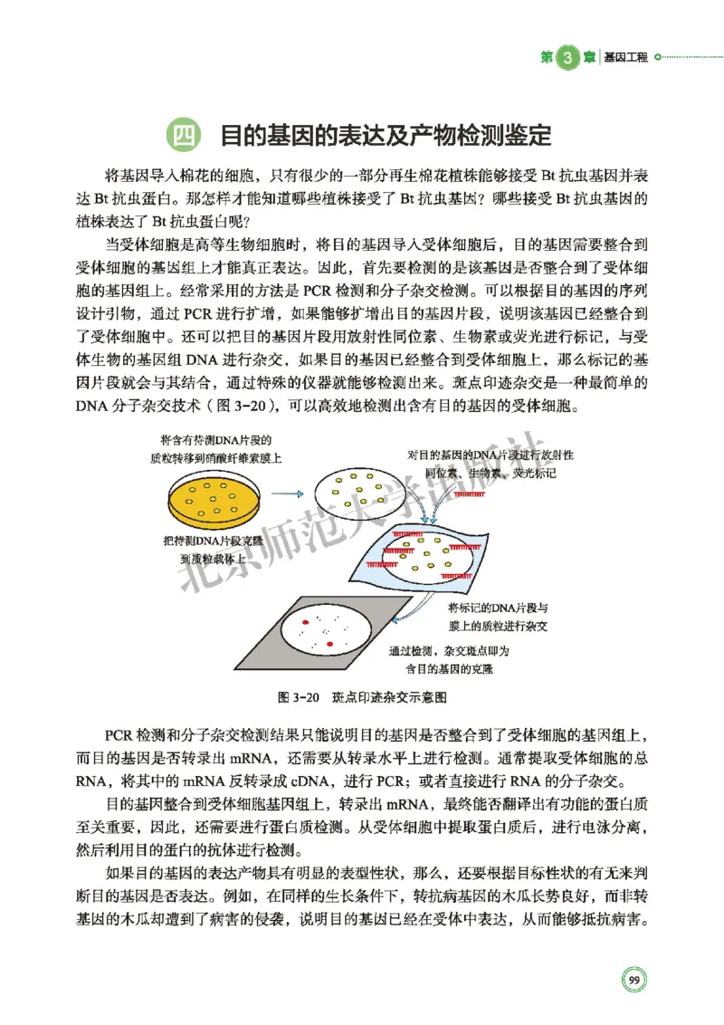 北师大生物选修3高清教材_4-教培资料-26年最新资料-同步更新_初中高中教资_03科三专项（进去保存报考的学科即可）_02科三专项（笔记真题思维导图教学设计版本二）