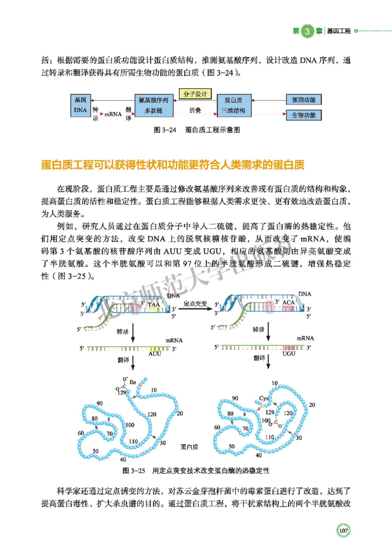 北师大生物选修3高清教材_4-教培资料-26年最新资料-同步更新_初中高中教资_03科三专项（进去保存报考的学科即可）_02科三专项（笔记真题思维导图教学设计版本二）