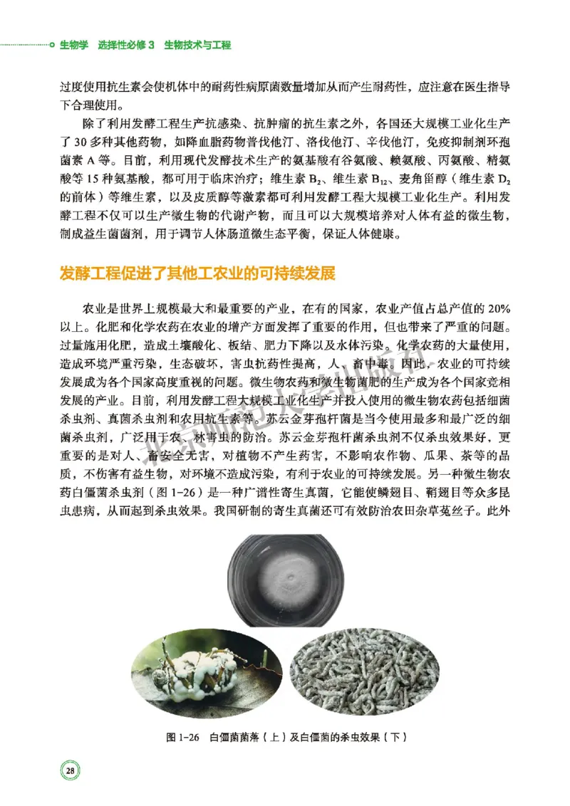 北师大生物选修3高清教材_4-教培资料-26年最新资料-同步更新_初中高中教资_03科三专项（进去保存报考的学科即可）_02科三专项（笔记真题思维导图教学设计版本二）