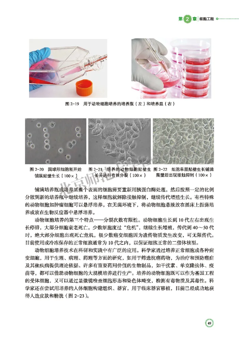 北师大生物选修3高清教材_4-教培资料-26年最新资料-同步更新_初中高中教资_03科三专项（进去保存报考的学科即可）_02科三专项（笔记真题思维导图教学设计版本二）