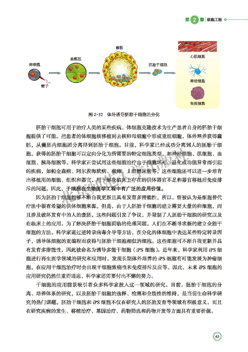 北师大生物选修3高清教材_4-教培资料-26年最新资料-同步更新_初中高中教资_03科三专项（进去保存报考的学科即可）_02科三专项（笔记真题思维导图教学设计版本二）