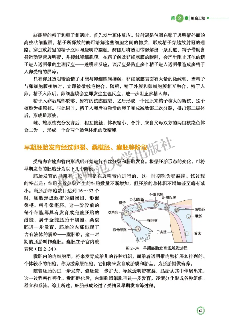北师大生物选修3高清教材_4-教培资料-26年最新资料-同步更新_初中高中教资_03科三专项（进去保存报考的学科即可）_02科三专项（笔记真题思维导图教学设计版本二）