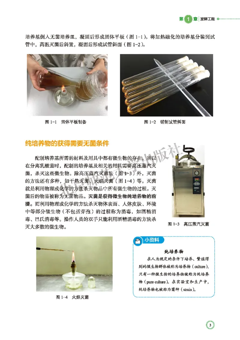 北师大生物选修3高清教材_4-教培资料-26年最新资料-同步更新_初中高中教资_03科三专项（进去保存报考的学科即可）_02科三专项（笔记真题思维导图教学设计版本二）