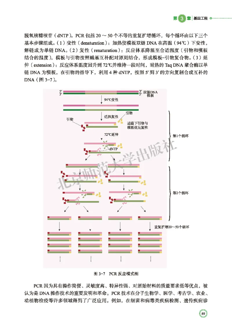 北师大生物选修3高清教材_4-教培资料-26年最新资料-同步更新_初中高中教资_03科三专项（进去保存报考的学科即可）_02科三专项（笔记真题思维导图教学设计版本二）