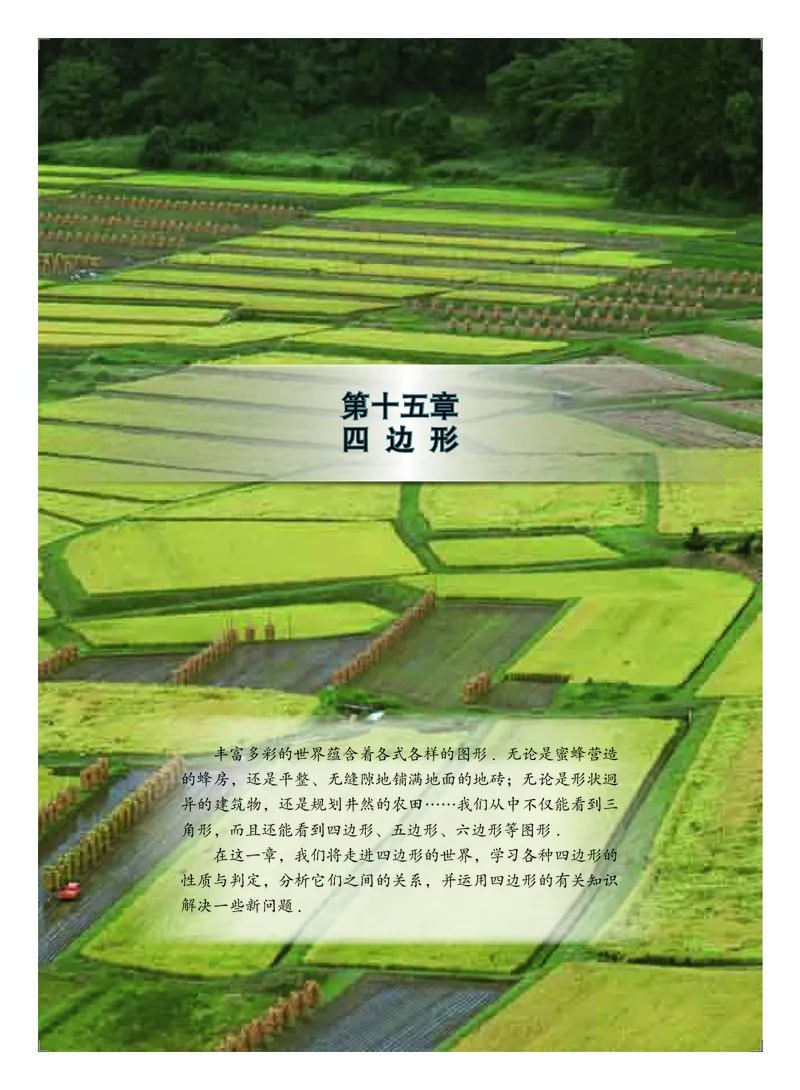 北京版8年级数学下册高清教材_4-教培资料-26年最新资料-同步更新_初中高中教资_03科三专项（进去保存报考的学科即可）_02科三专项（笔记真题思维导图教学设计版本二）