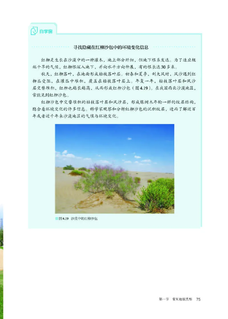 人教版地理必修第一册高清教材_4-教培资料-26年最新资料-同步更新_初中高中教资_03科三专项（进去保存报考的学科即可）_02科三专项（笔记真题思维导图教学设计版本二）